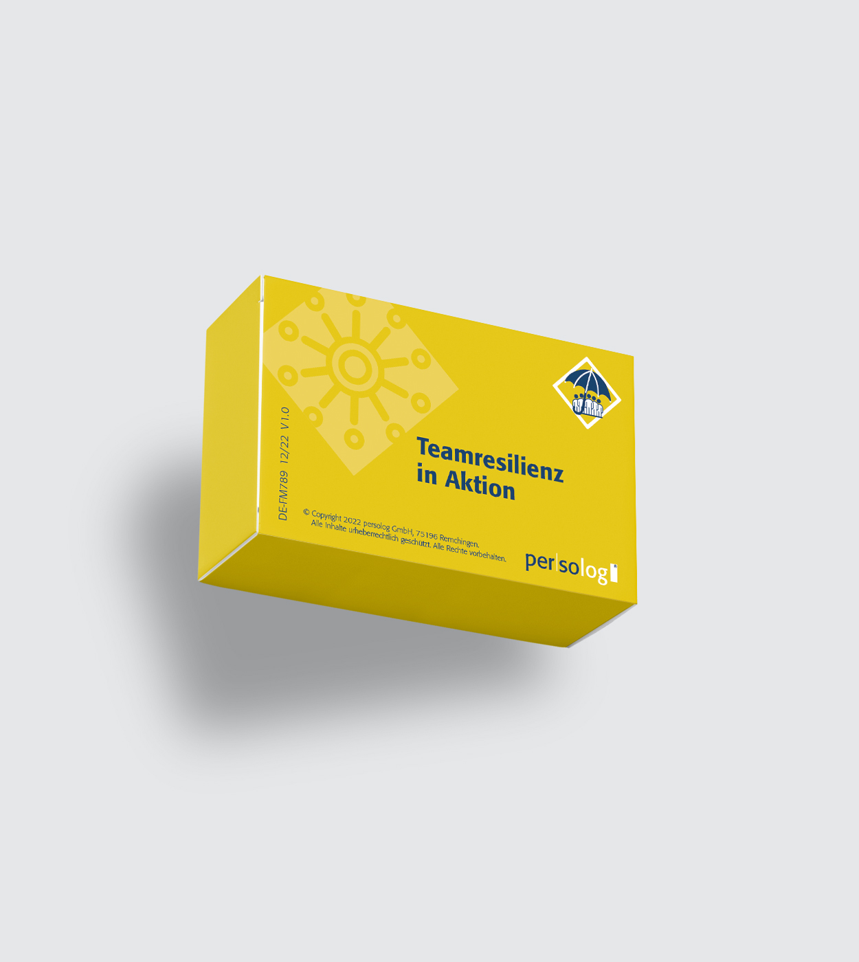 Team Resilience in Action Team Resilience in Action