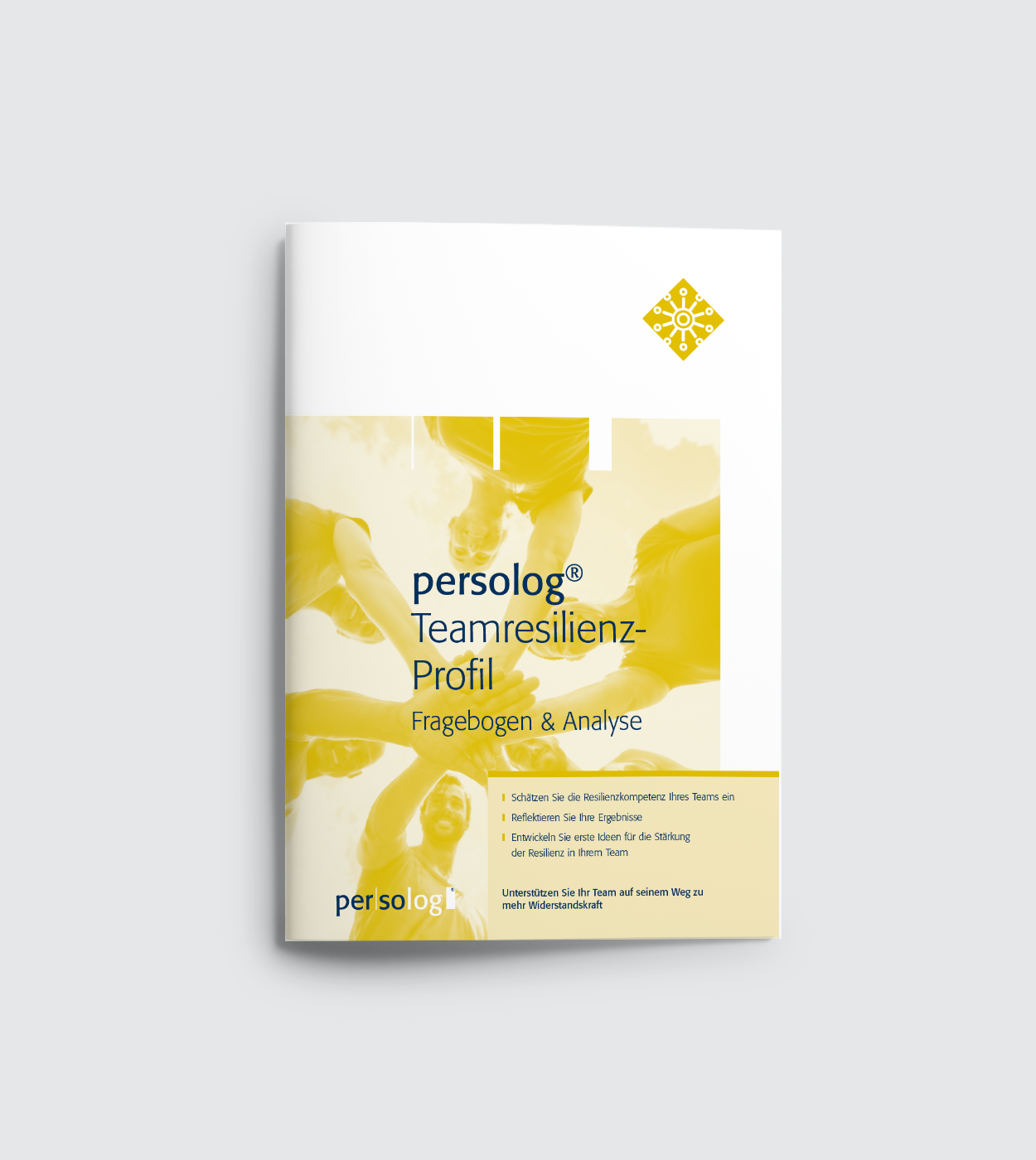 persolog® Teamresilienz-Profil Fragebogen & Analyse persolog® Teamresilienz-Profil Fragebogen & Analyse