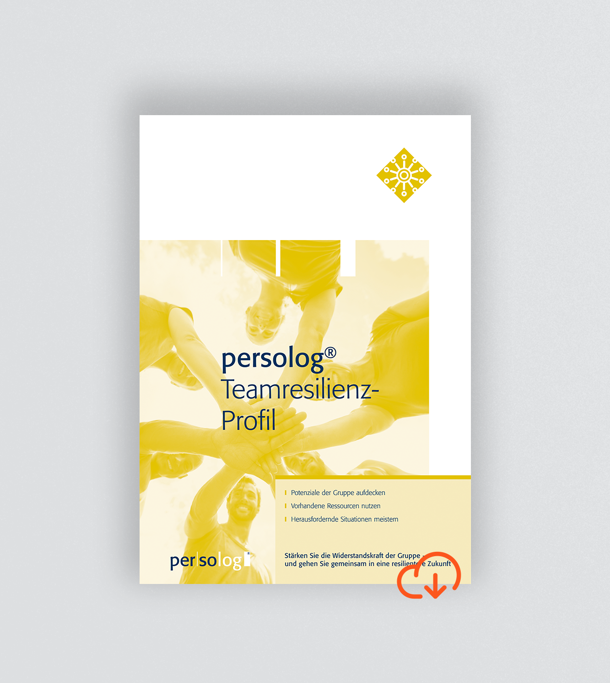 persolog® Team Resilience Profile  persolog® Team Resilience Profile