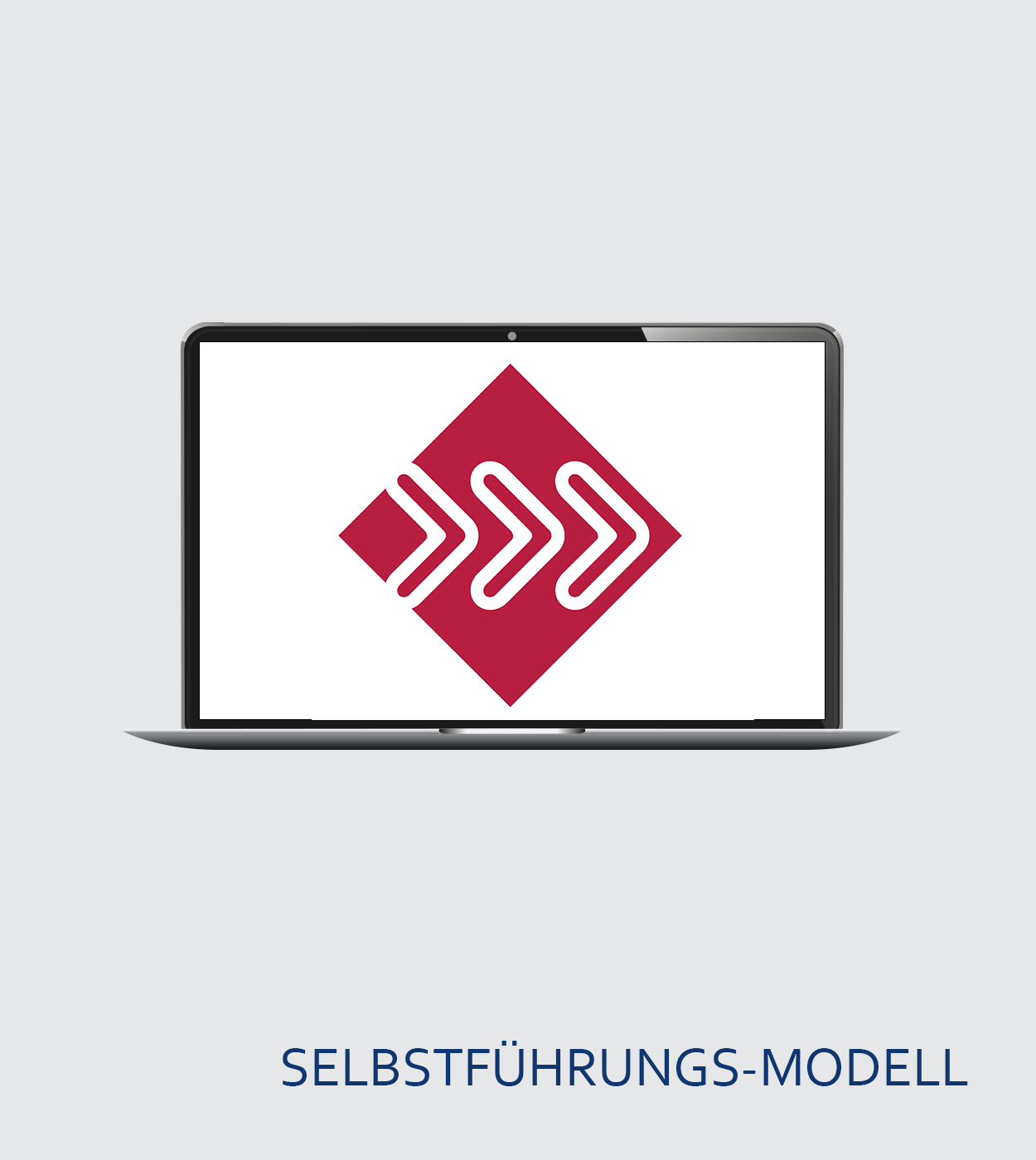 Certification for the persolog® Self-Leadership Model Live online Zoom seminar  DE November 18–19, 2027, Live Online Zoom Semina