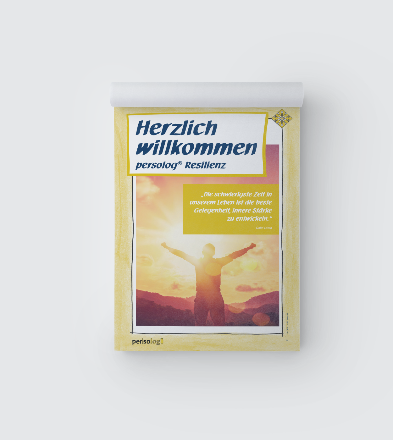 Flipcharts persolog® Resilienz-Modell