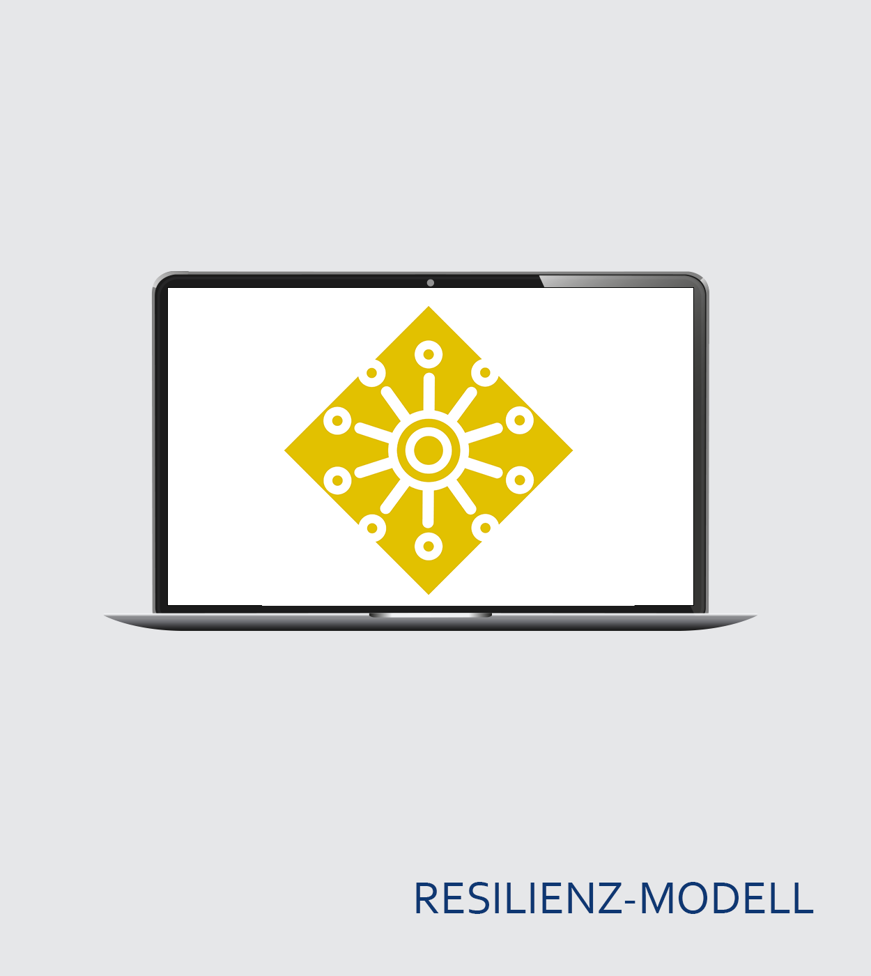 Resilienz Videobox M (Modellbox)