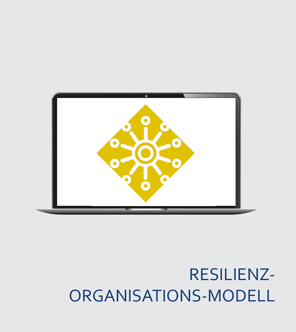 Certification for the persolog® Resilience Organization Model (Blended)