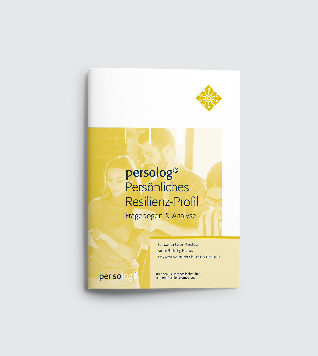 persolog® Personal Resilience Profile Questionnaire & Analysis persolog® Personal Resilience Profile Questionnaire & Analysis
