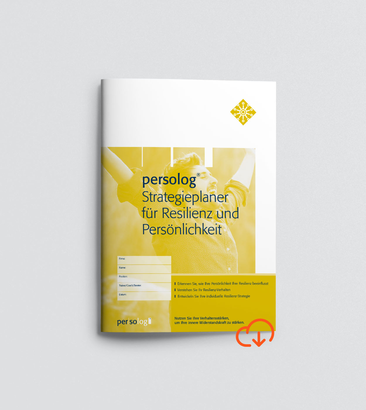 Strategy Planner Resilience and Personality online