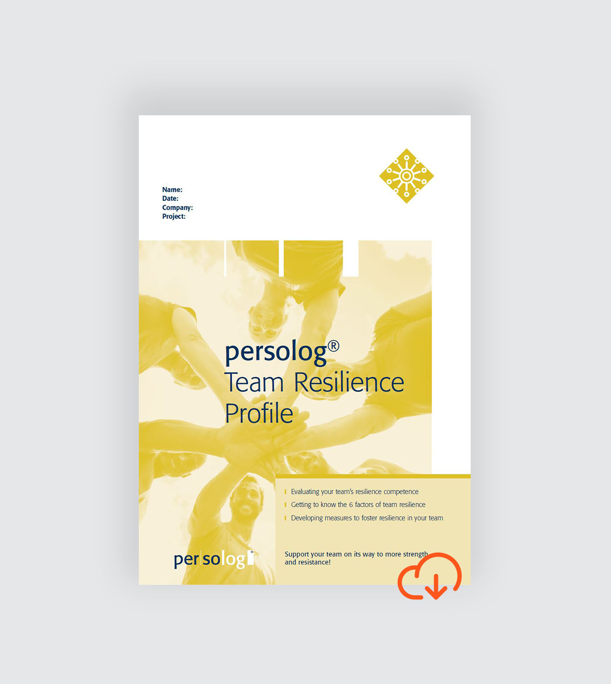 persolog® Team Resilience Profile online