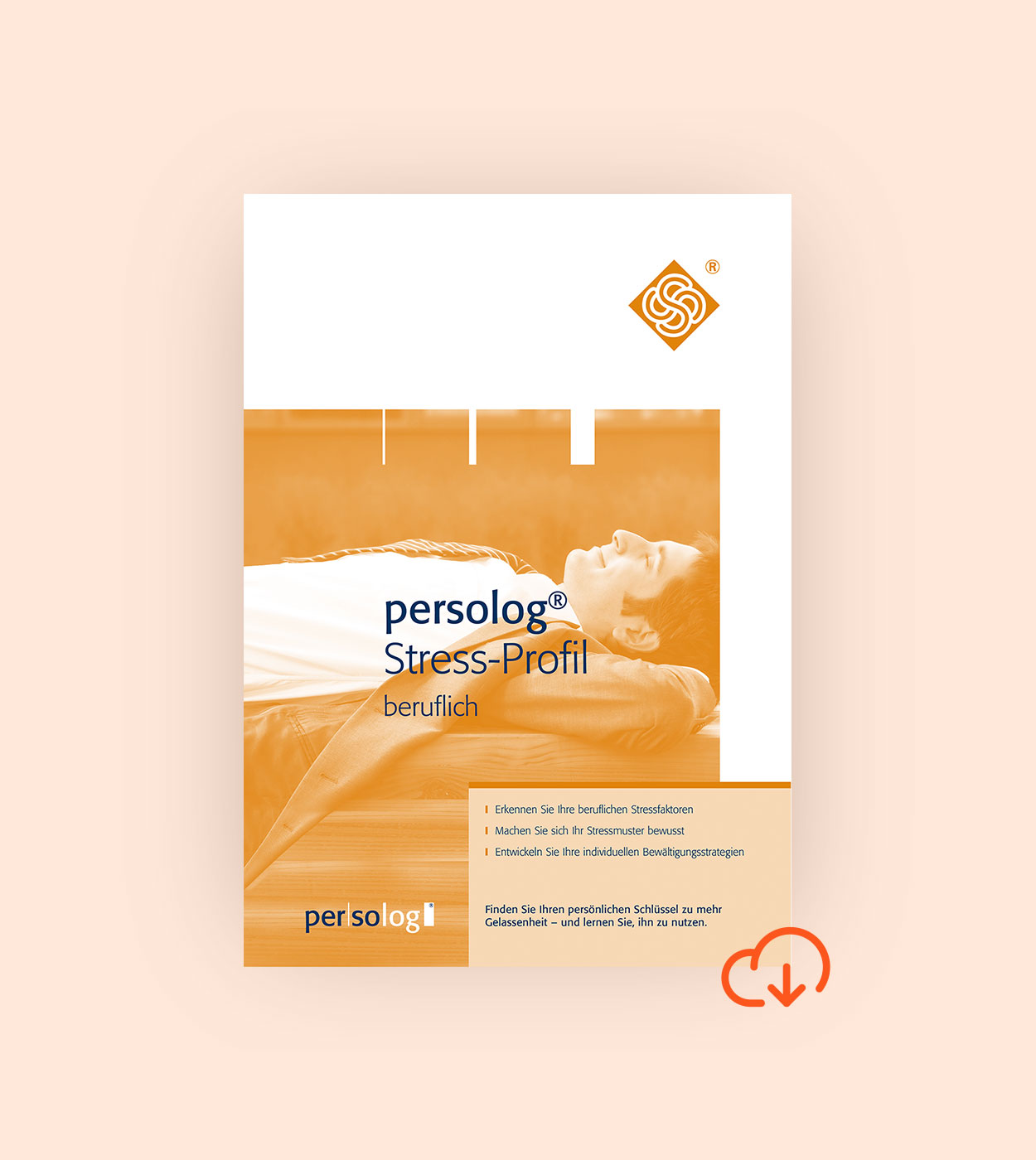 persolog® Stress Profile online persolog® Stress Profile online
