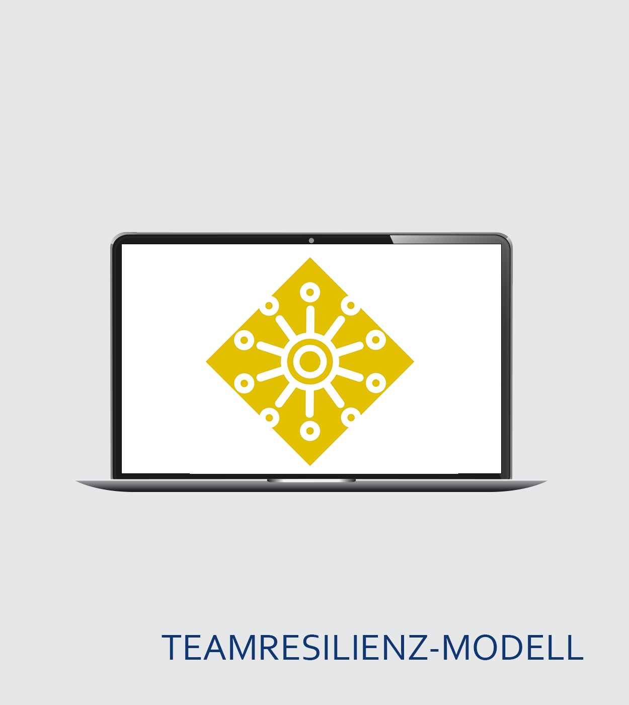 Certification for the persolog® Team Resilience Model Basic