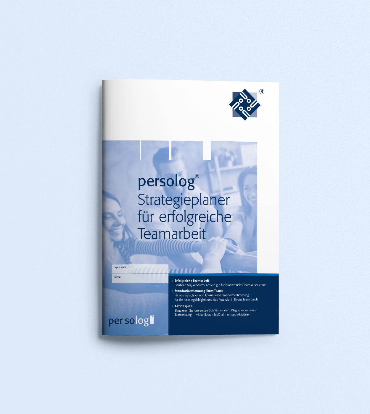 persolog® strategy planner for successful teamwork Online-Profil FR 06/24_V1.0