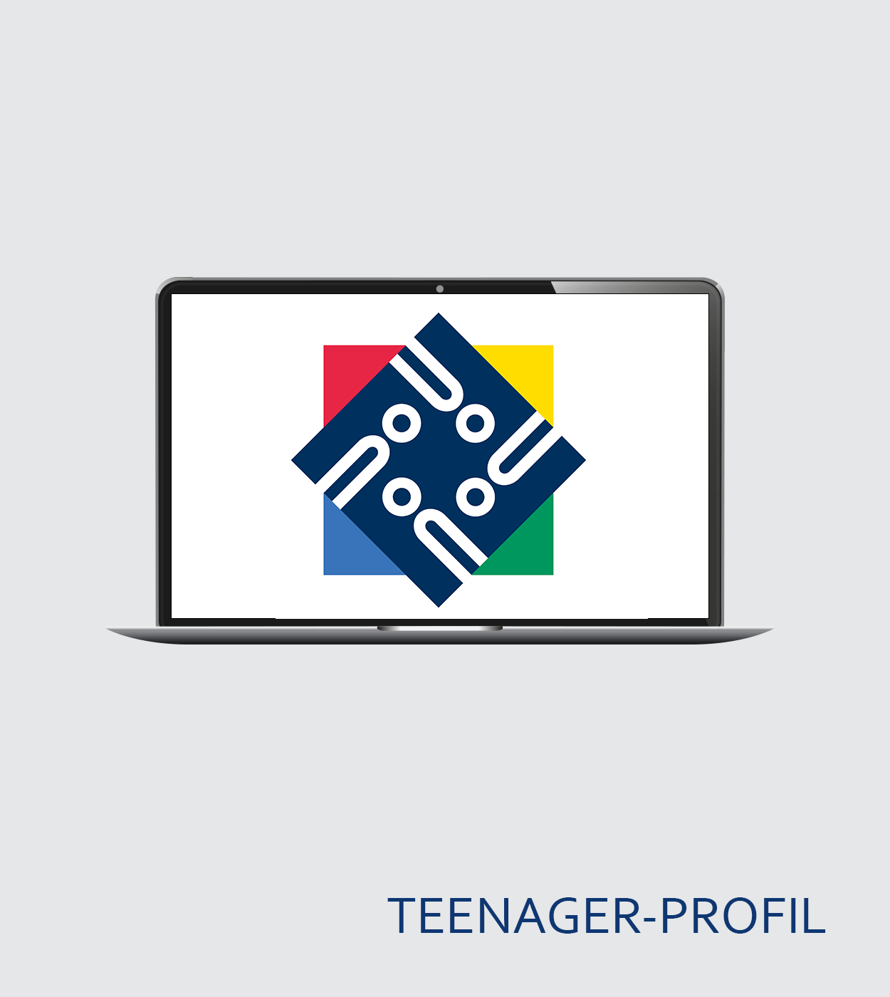 Certification for the persolog® Youth Profile