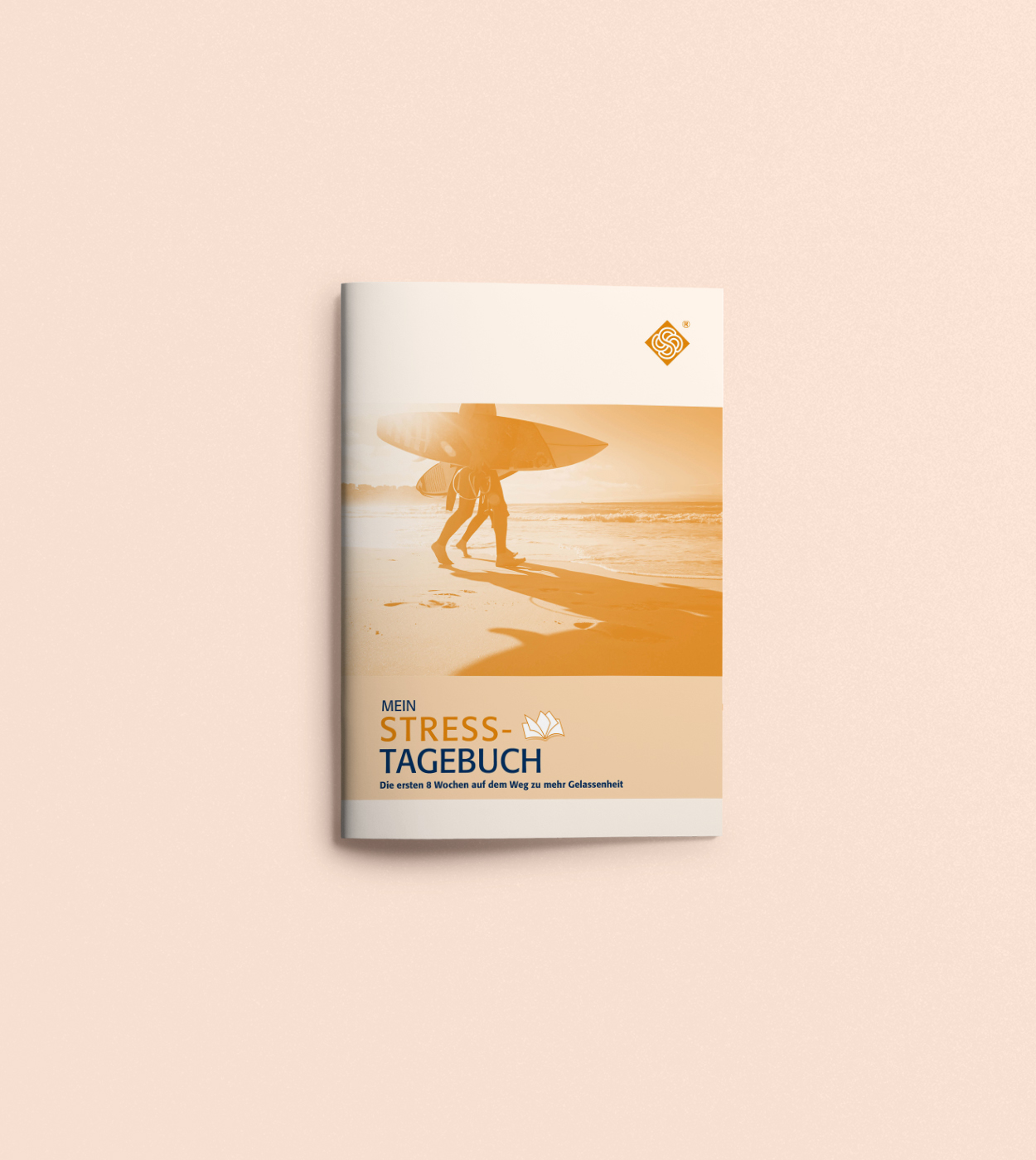 My stress diary My stress diary