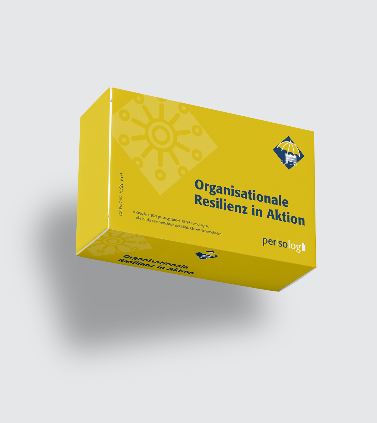 A resiliência organizacional em ação A resiliência organizacional em ação