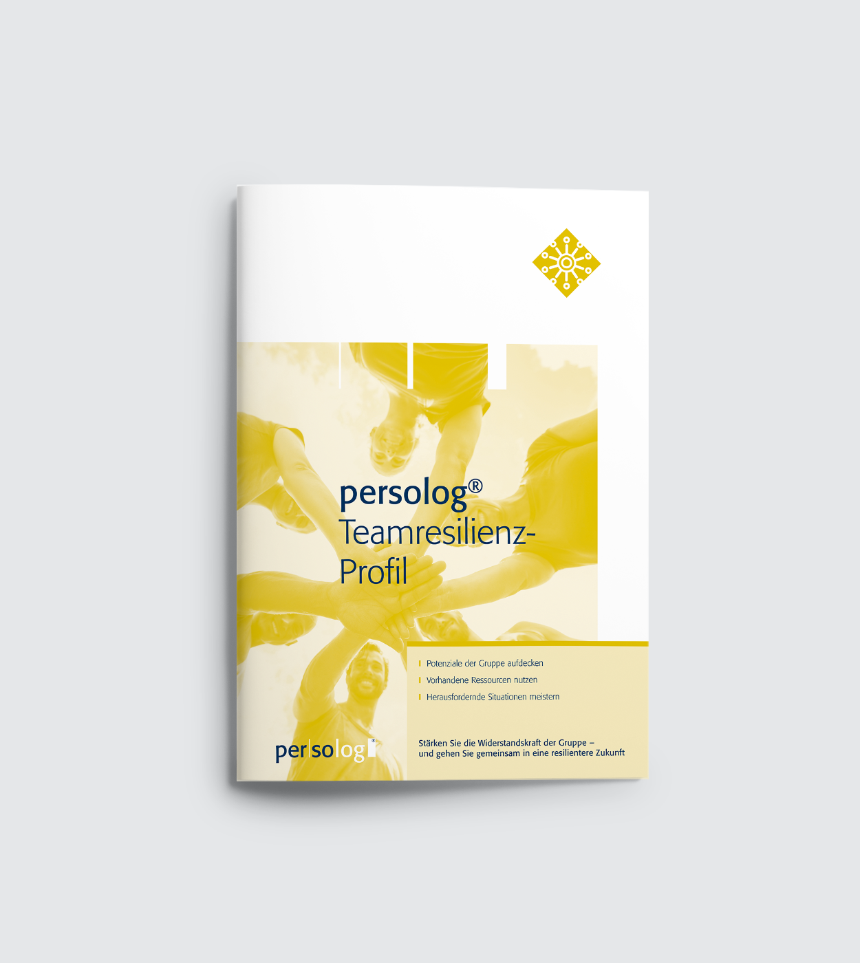 persolog® Team Resilience Profile persolog® Team Resilience Profile